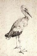 Albrecht Durer The Stork Germany oil painting artist